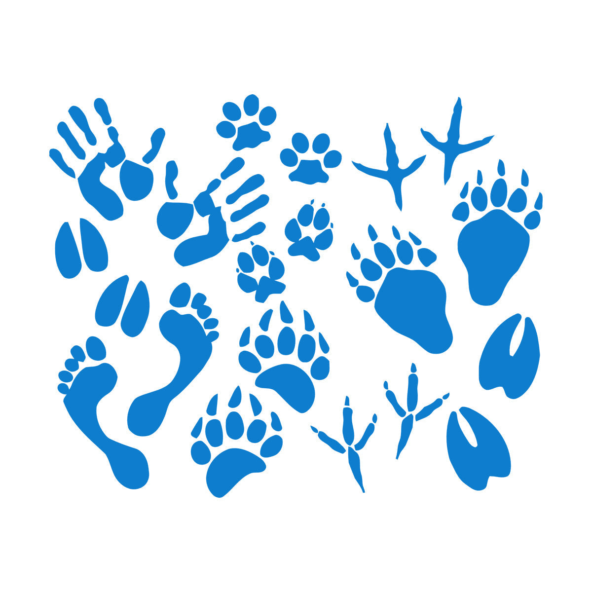 Vinyl Wall Decals Paw Prints Hand Animal Pet Kids Equipped With Transfer Film Kit