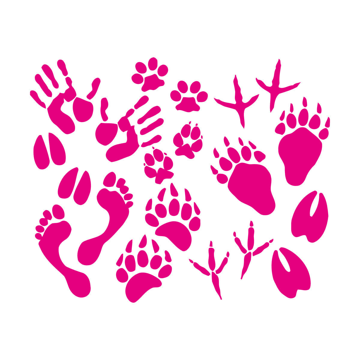 Vinyl Wall Decals Paw Prints Hand Animal Pet Kids Equipped With Transfer Film Kit