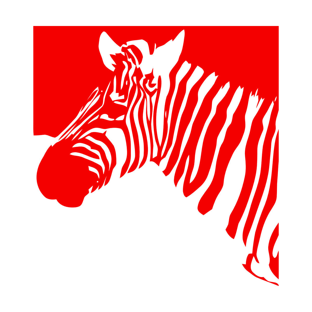 Mural And Wall Vinyl Decal Zebra Animal Modern Style Removable Without Leaving Glue