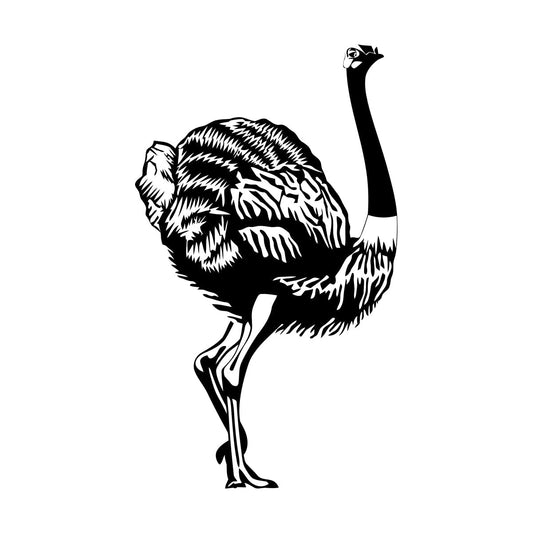 Wall Stickers Animals Bird Fantastic Ostrich Car Body Decoration