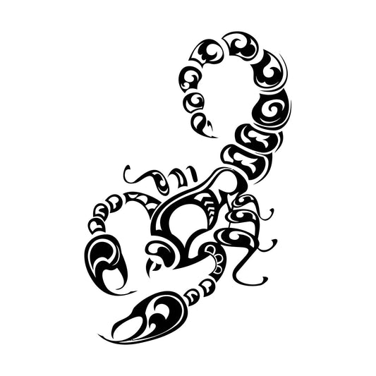 Fine Carving Decals Arachnology Animals Insect Scorpio Sting Venom Window Decals