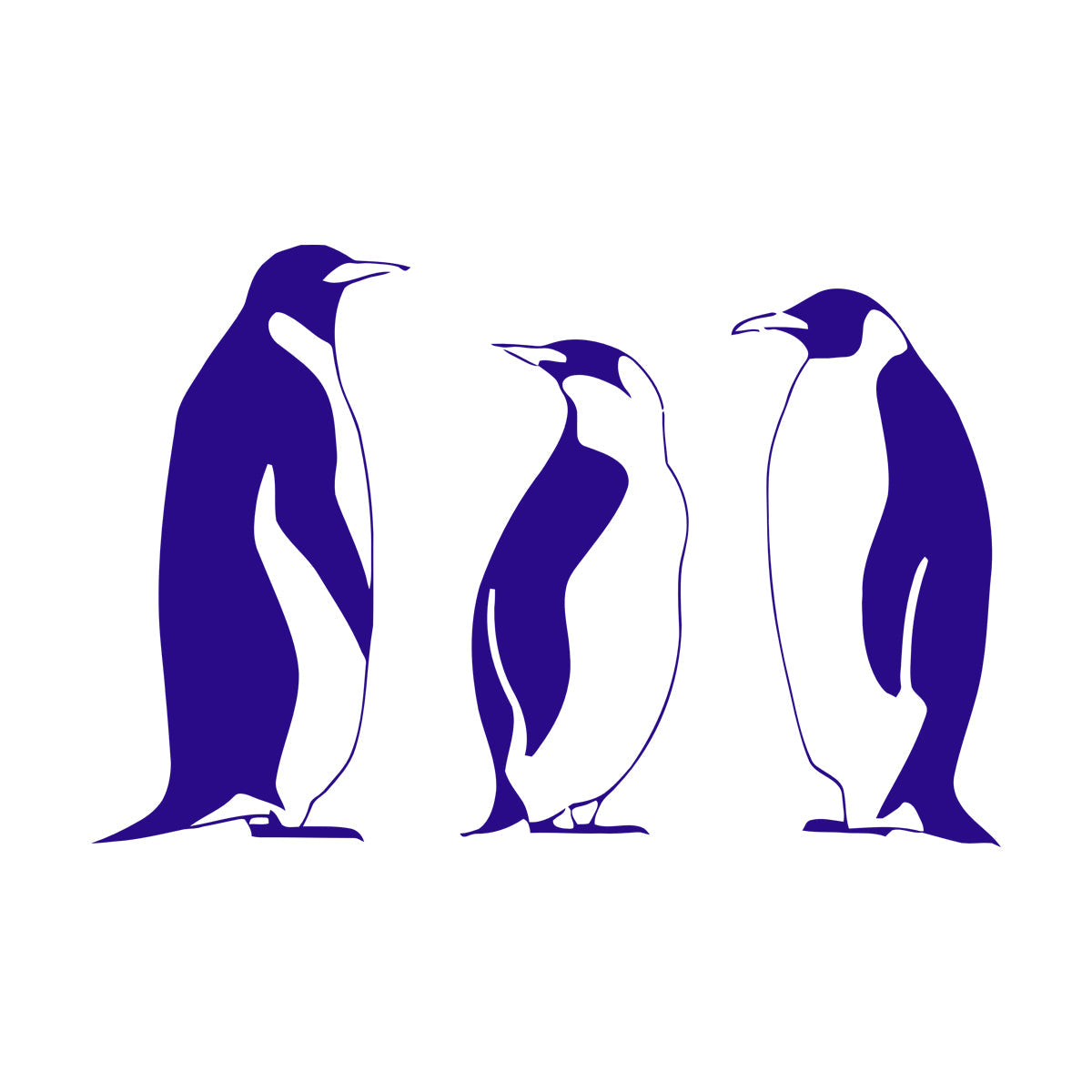 Wall Vinyl Sticker Decor And Penguin Winter Animal Great It Won'T Fall Off