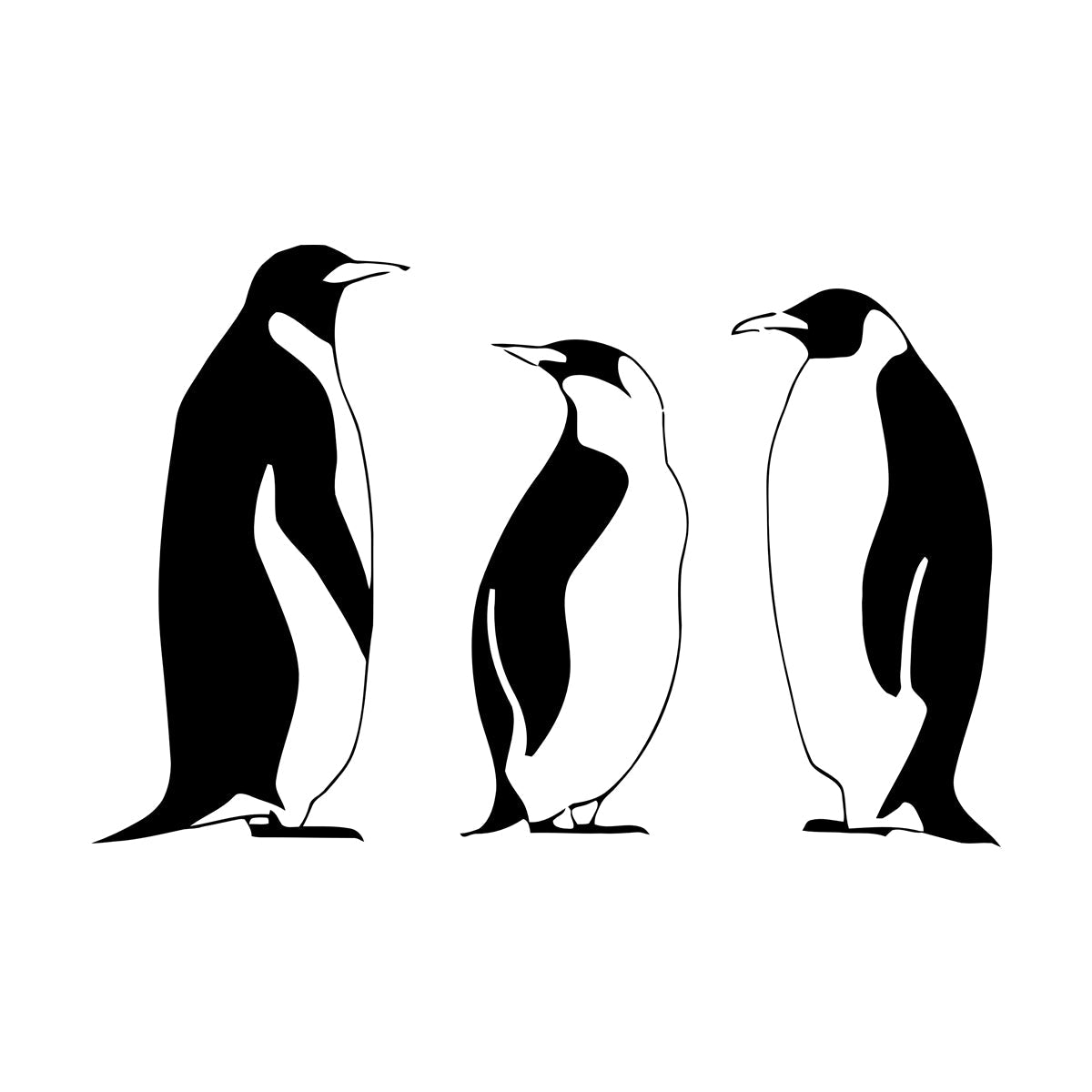 Wall Vinyl Sticker Decor And Penguin Winter Animal Great It Won'T Fall Off