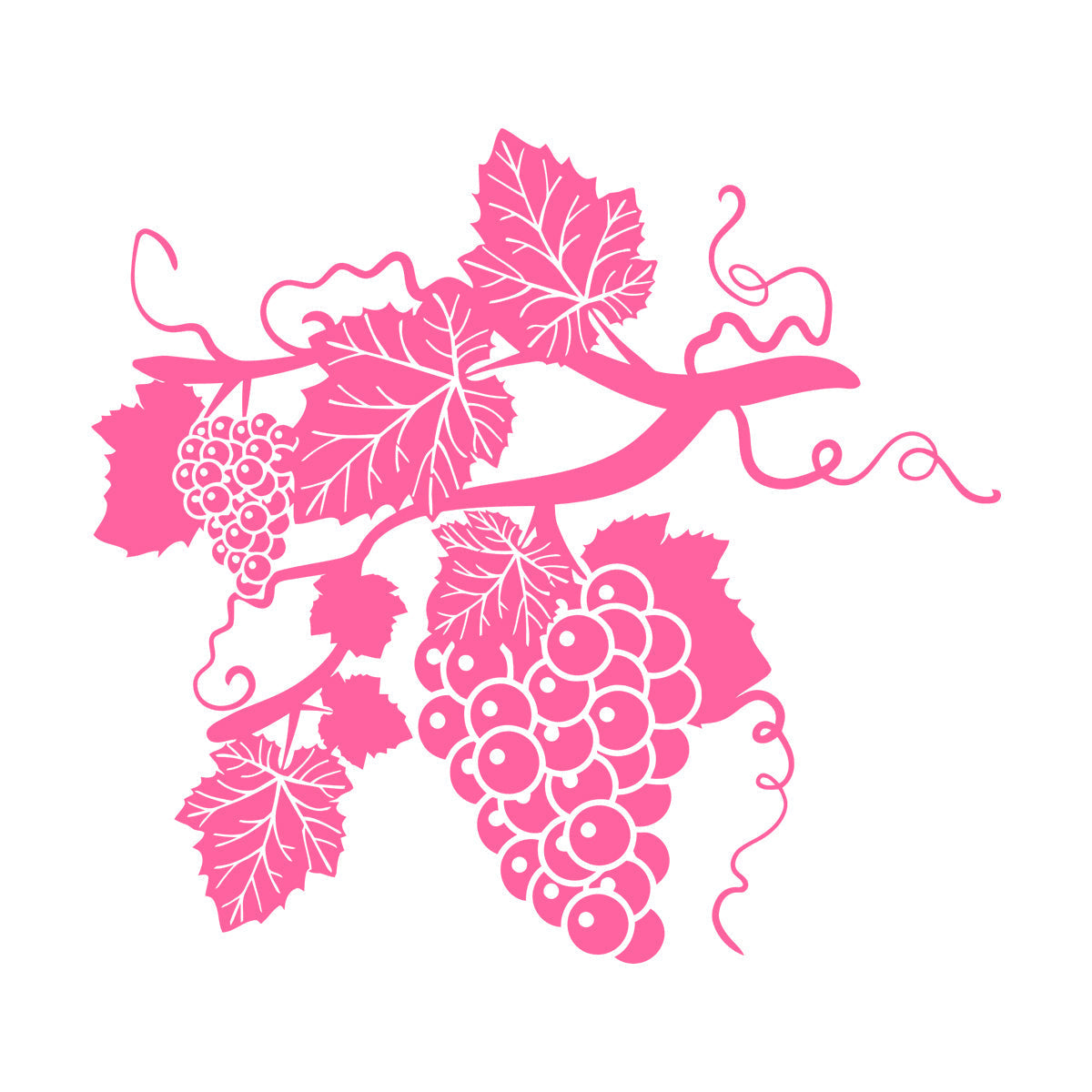 Grape Branch Vine Berries Alcohol Winery Engraving Decals Window Decals