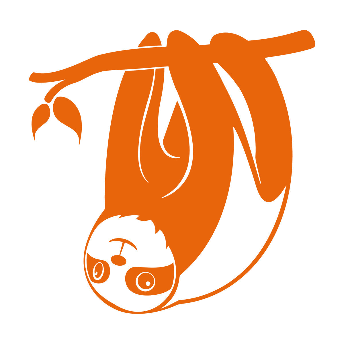 Wall Decals Sloth Funny Animal Kids Branch Equipped With Transfer Film Kit