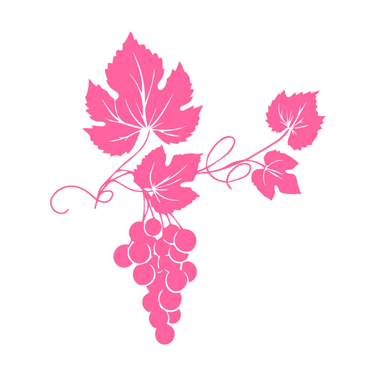 Vinyl Wall Stickers Vineyard Grape Branch Vine Berries Wine Shop Removable Without Leaving Glue