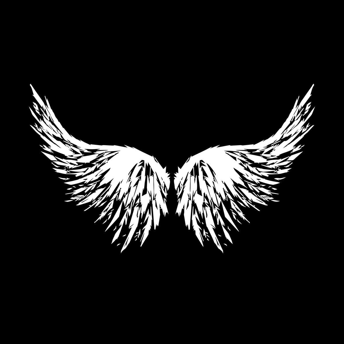 Abstract Big Bird Wings Vinyl Wall Stickers Personalized Customization