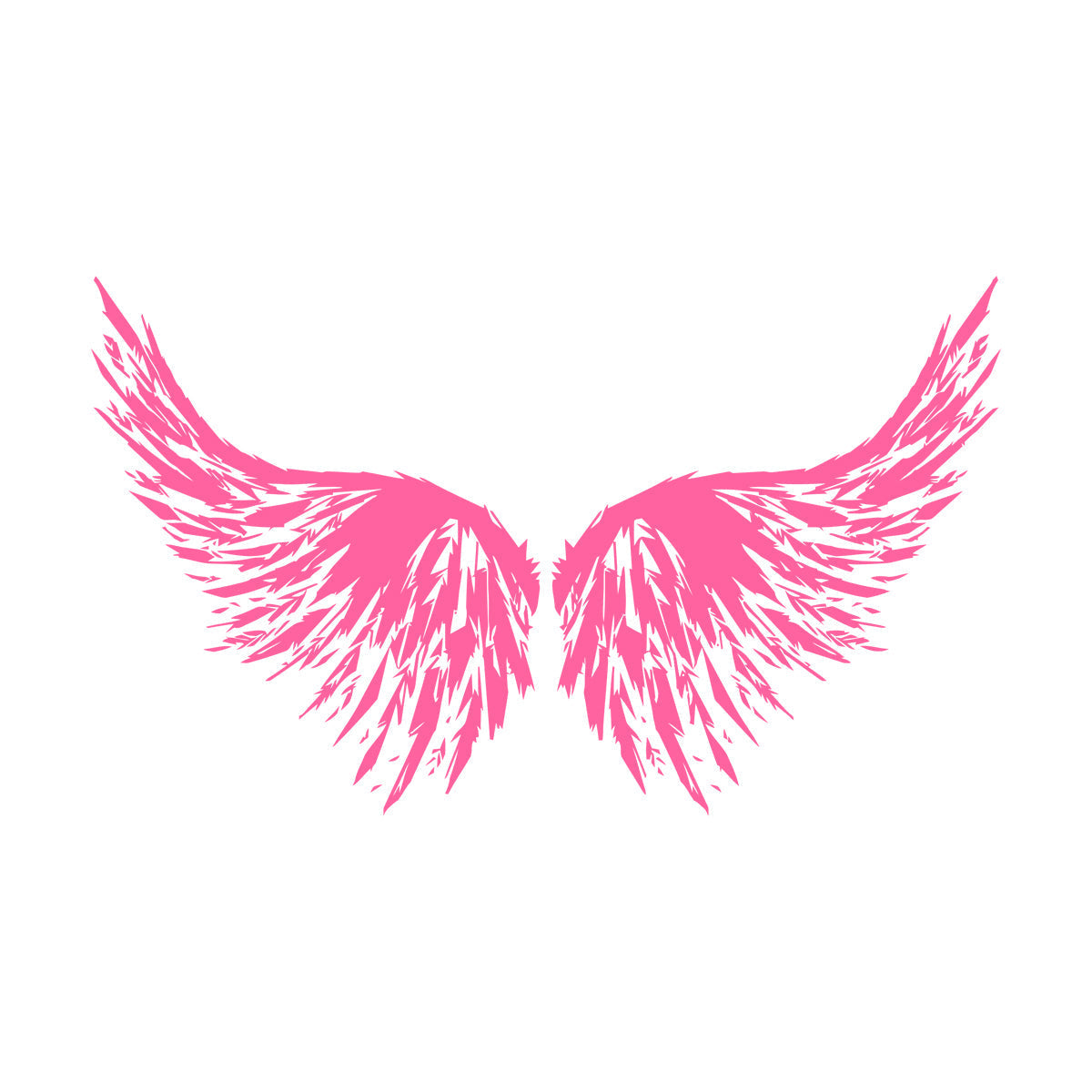 Abstract Big Bird Wings Vinyl Wall Stickers Personalized Customization