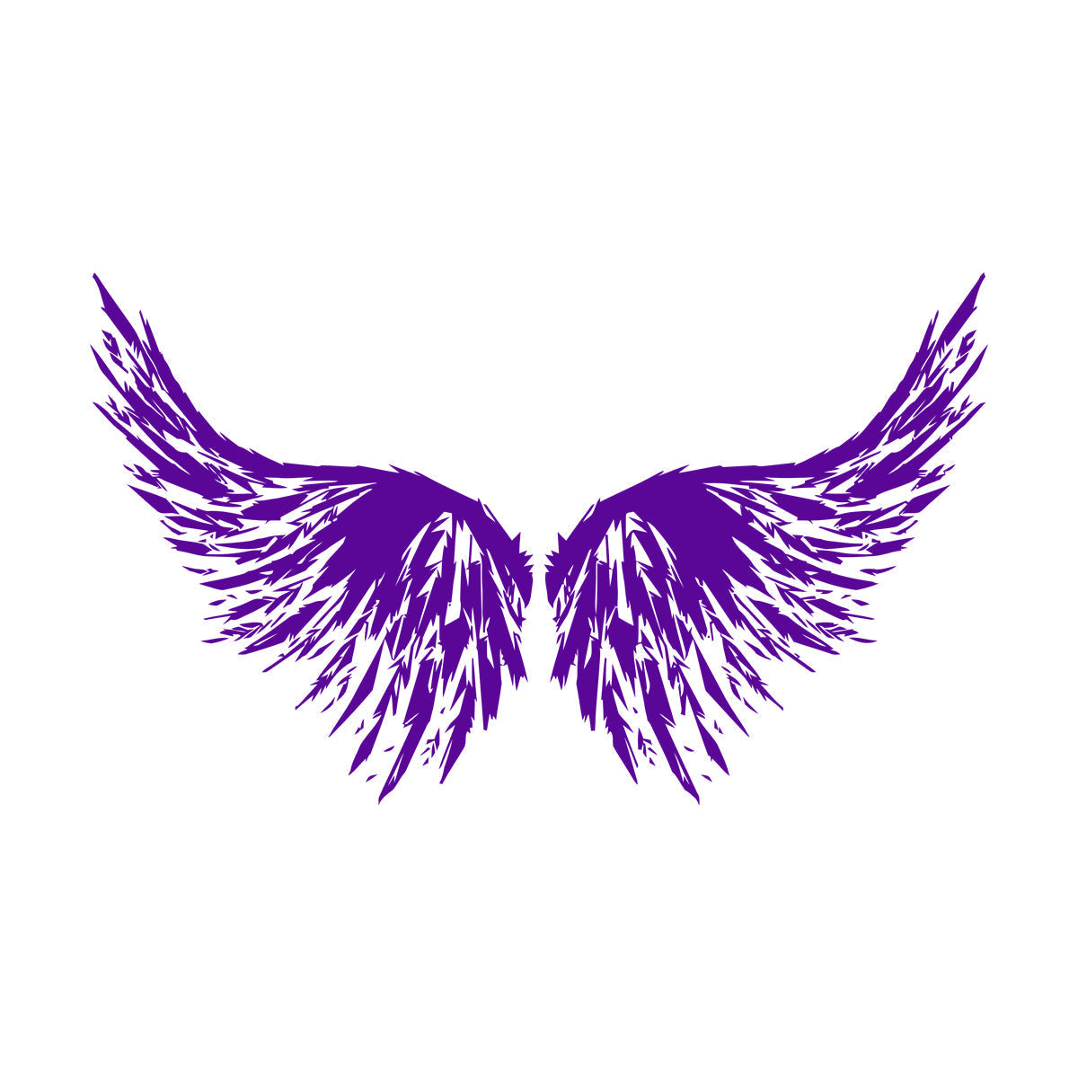 Abstract Big Bird Wings Vinyl Wall Stickers Personalized Customization