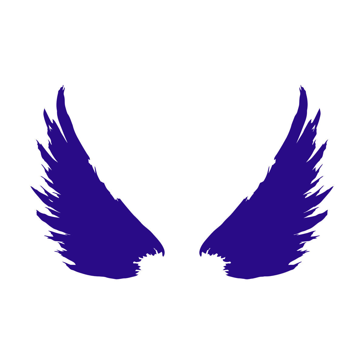 Vinyl Wall Decals Bird Feathers Wings Flight Wingspan Removable Without Leaving Glue