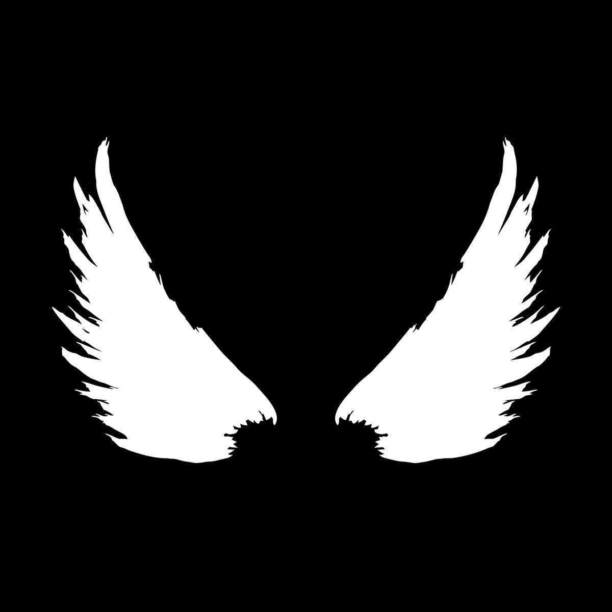 Vinyl Wall Decals Bird Feathers Wings Flight Wingspan Removable Without Leaving Glue