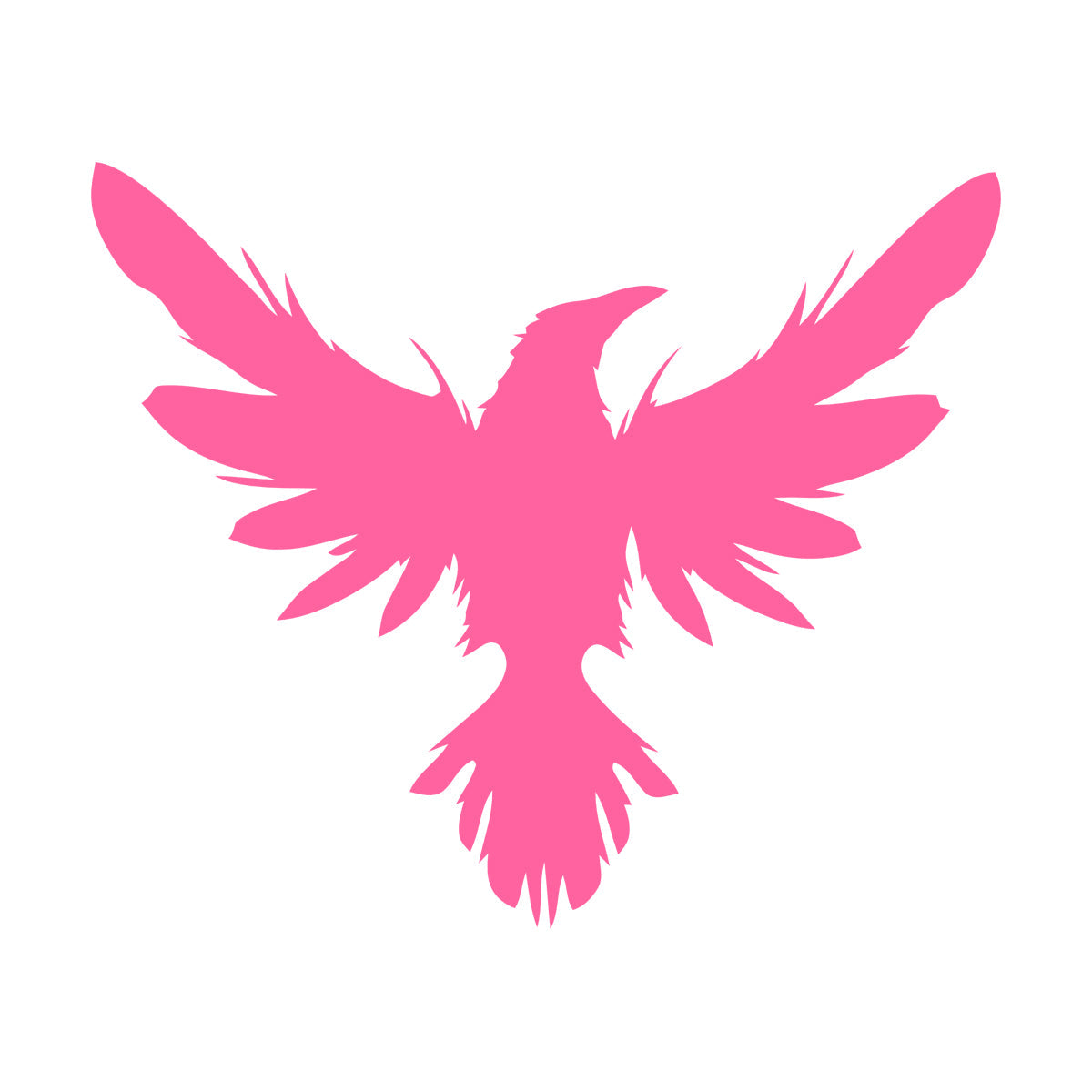 Mural And Wall Vinyl Decal Black Raven Bird Flying Wings Feathers Tattoo Culture