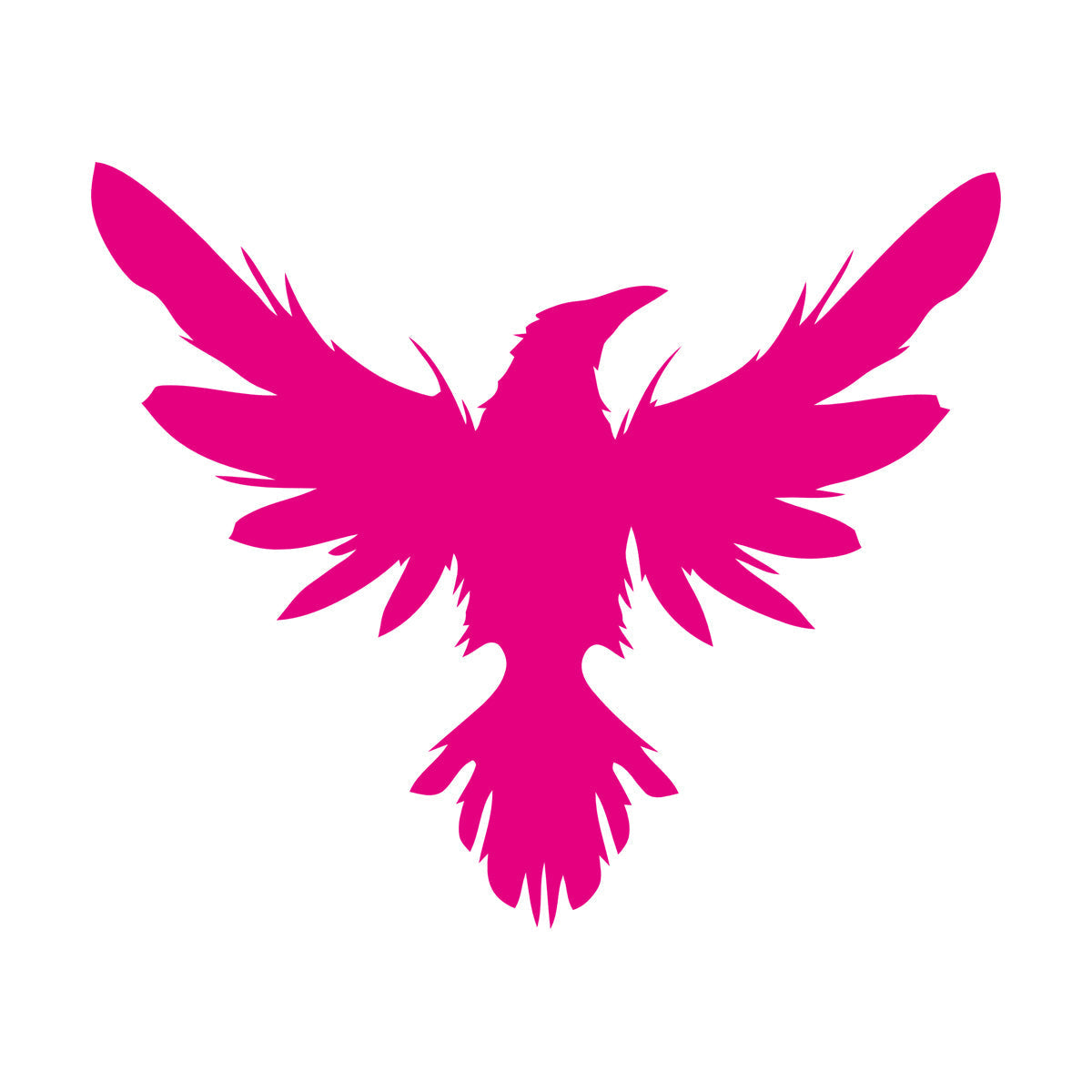 Mural And Wall Vinyl Decal Black Raven Bird Flying Wings Feathers Tattoo Culture