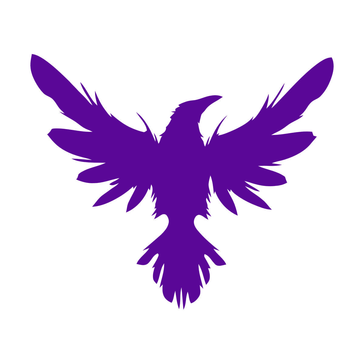 Mural And Wall Vinyl Decal Black Raven Bird Flying Wings Feathers Tattoo Culture