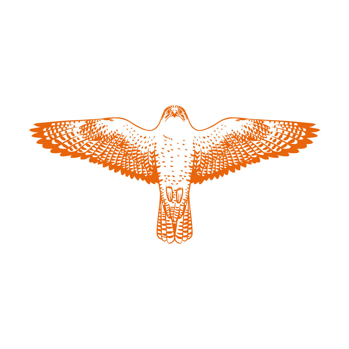 Engraving Stickers Falcon Flying Eagle Wings Hawk Tribal Bird Glass Stickers