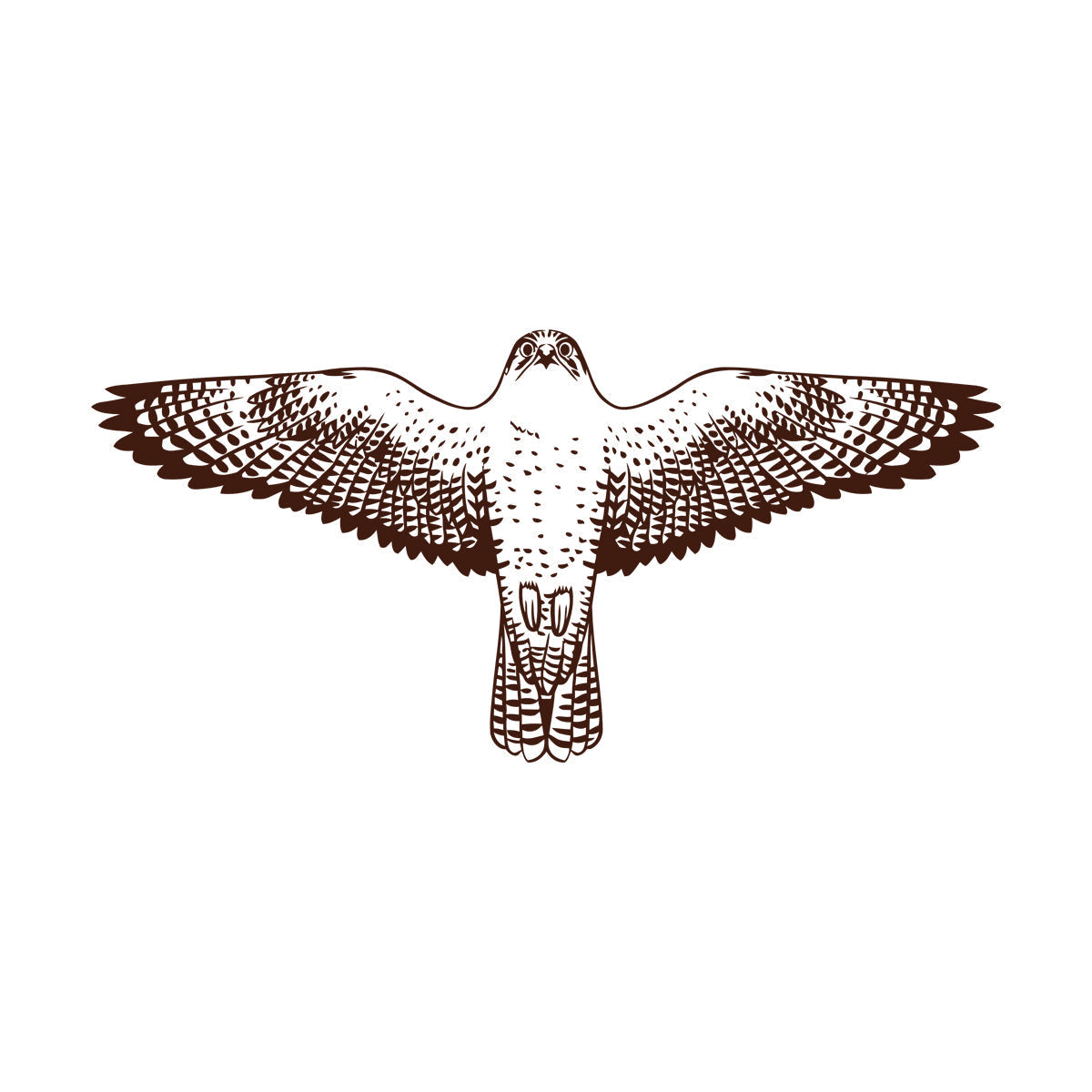 Engraving Stickers Falcon Flying Eagle Wings Hawk Tribal Bird Glass Stickers