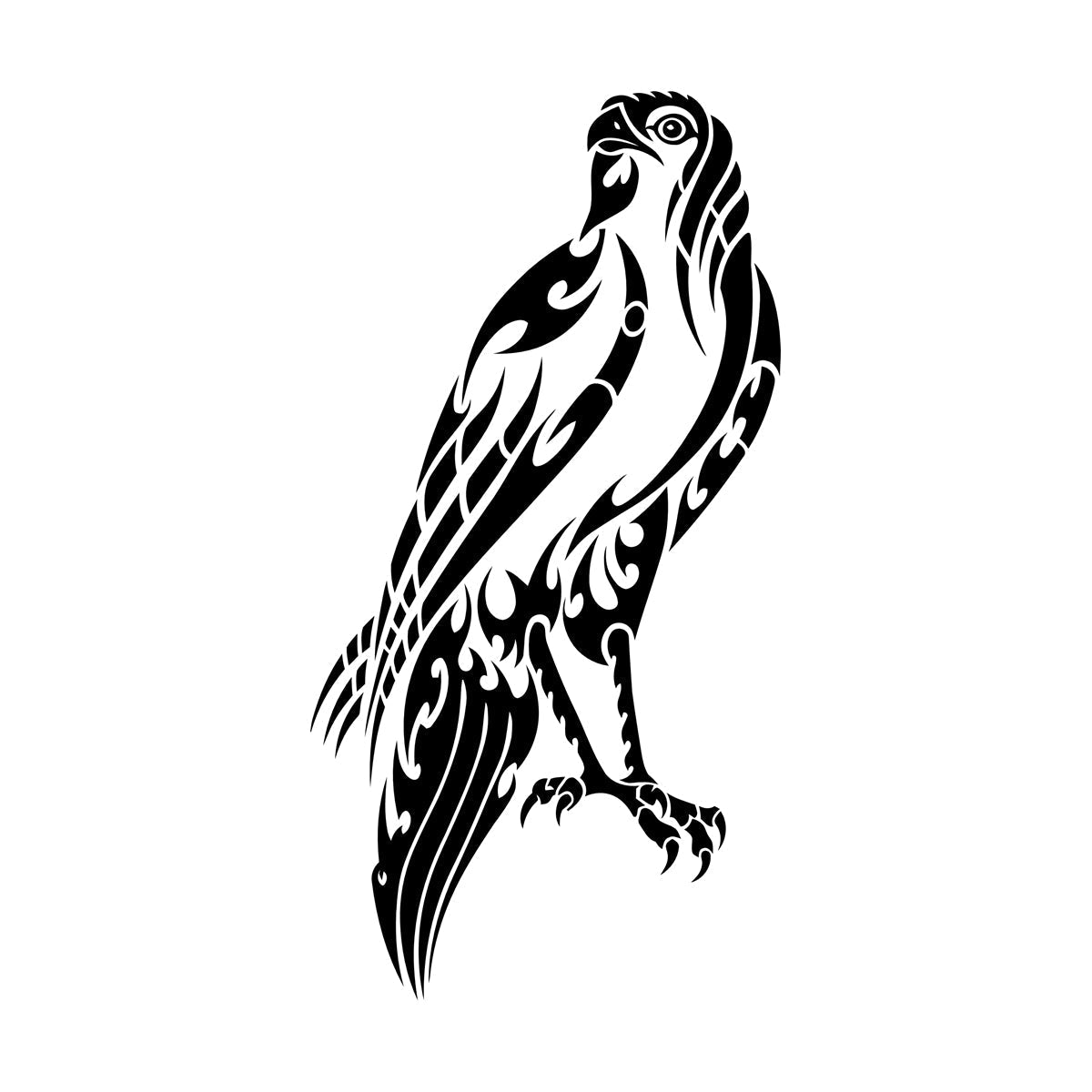 Lettering Decals Falcon Hawk Feathers Wild Freedom Bird Store Decoration