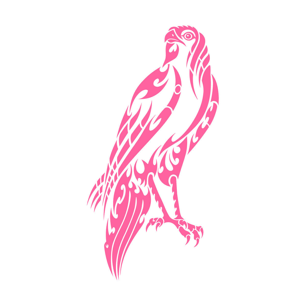 Lettering Decals Falcon Hawk Feathers Wild Freedom Bird Store Decoration