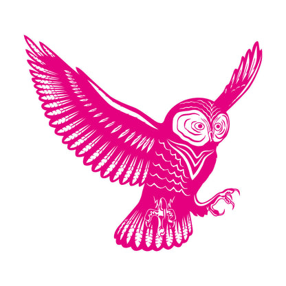 Flying Bird Owl Wings Feathers Tribal Engraving Decals Do Not Damage The Wall Surface