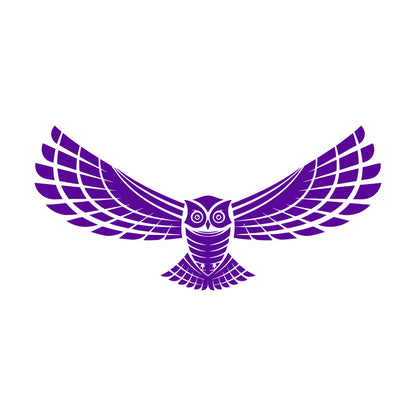 Wall Decals Flying Night Bird Owl Wings Feathers Predatory Hunting Glass Stickers