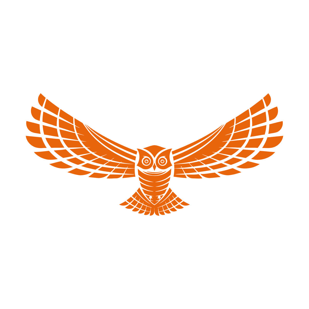 Wall Decals Flying Night Bird Owl Wings Feathers Predatory Hunting Glass Stickers