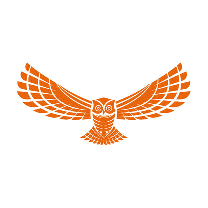 Wall Decals Flying Night Bird Owl Wings Feathers Predatory Hunting Glass Stickers