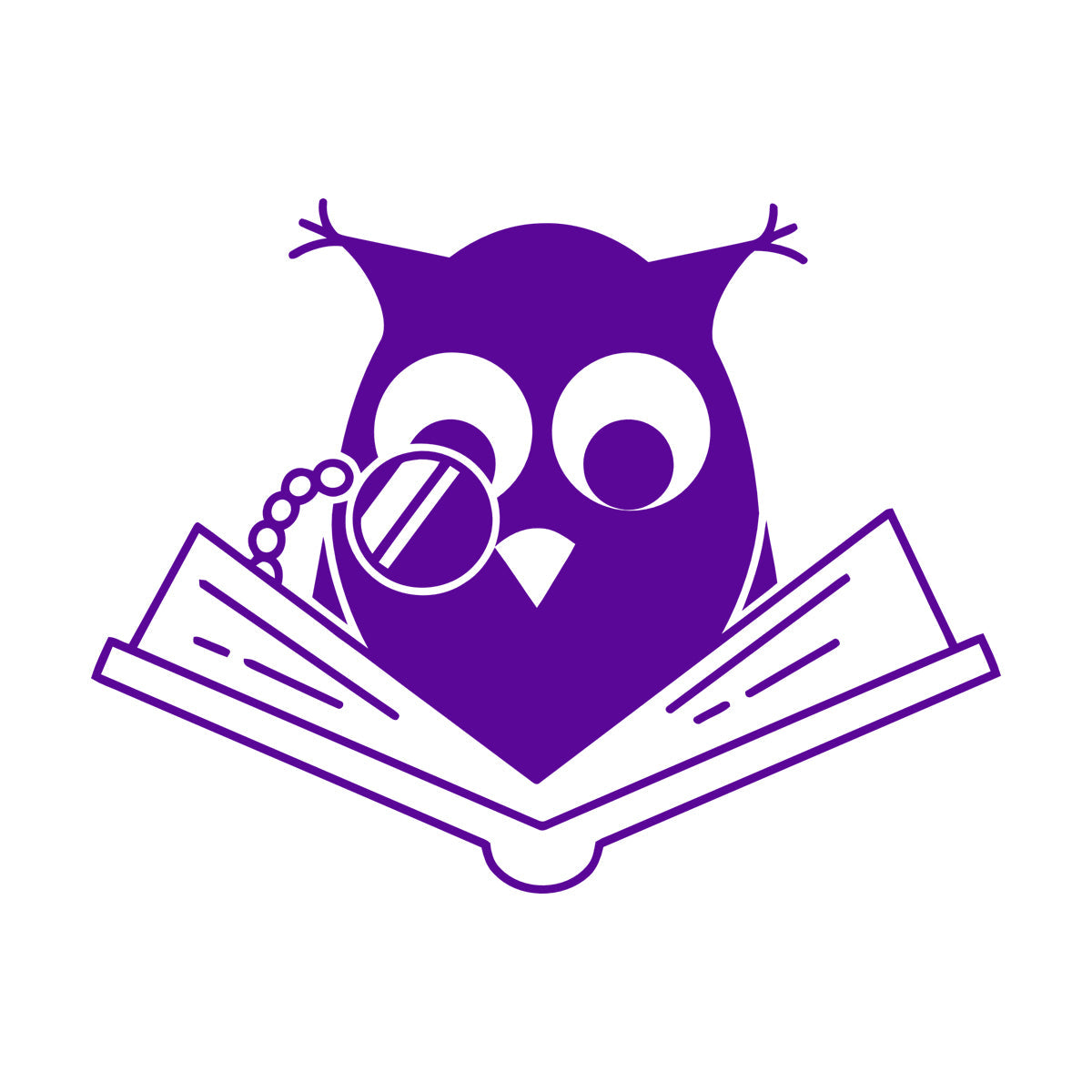 Vinyl Art Sticker Smart Owl Scholar Reading Book Kids Store Decoration