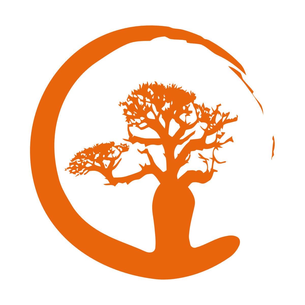 Vinyl Wall Stickers Zen Tree Meditation Enso Circle Buddhism Car Body Decoration