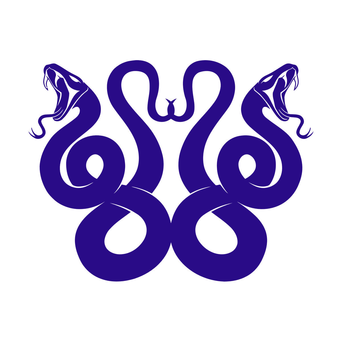 Mural And Wall Vinyl Decal Celtic Snake Ornament Animals Personalized Customization