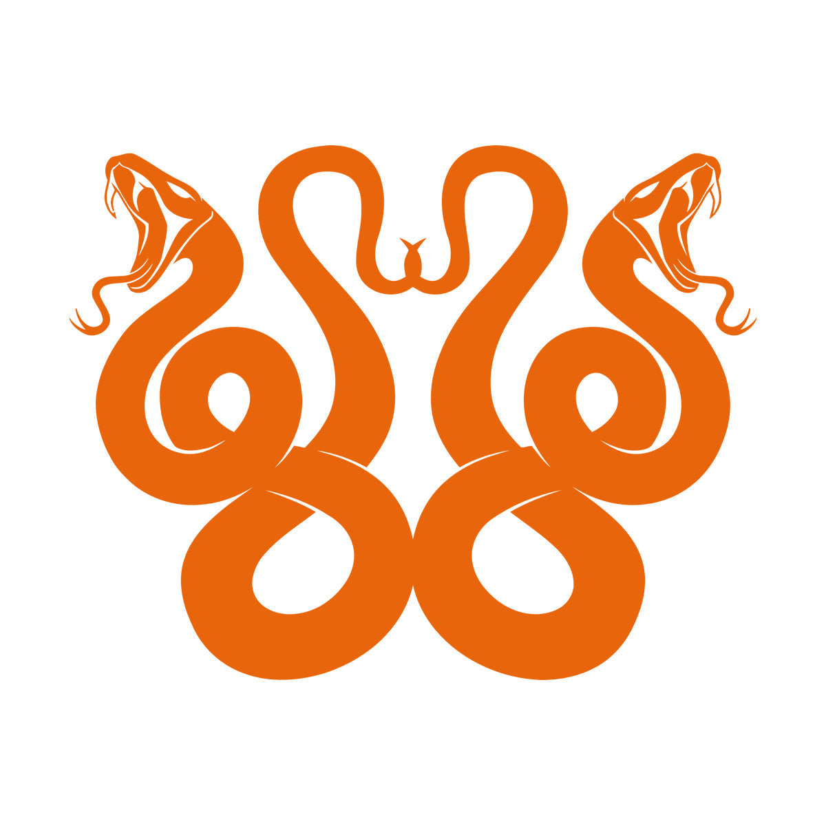 Mural And Wall Vinyl Decal Celtic Snake Ornament Animals Personalized Customization