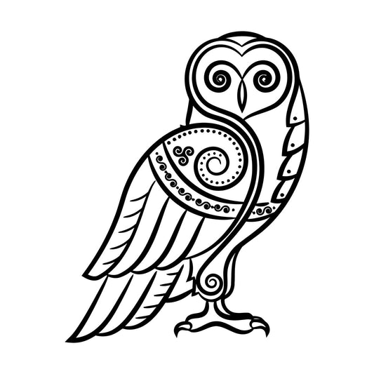 Wall Stickers Paster Paper Celtic Style Owl Bird Abstract Magic Can Modify And Add Information