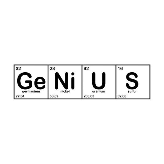 Wall Decals Paster Paper Genius Chemical Lab Science Chemistry School Art Decoration