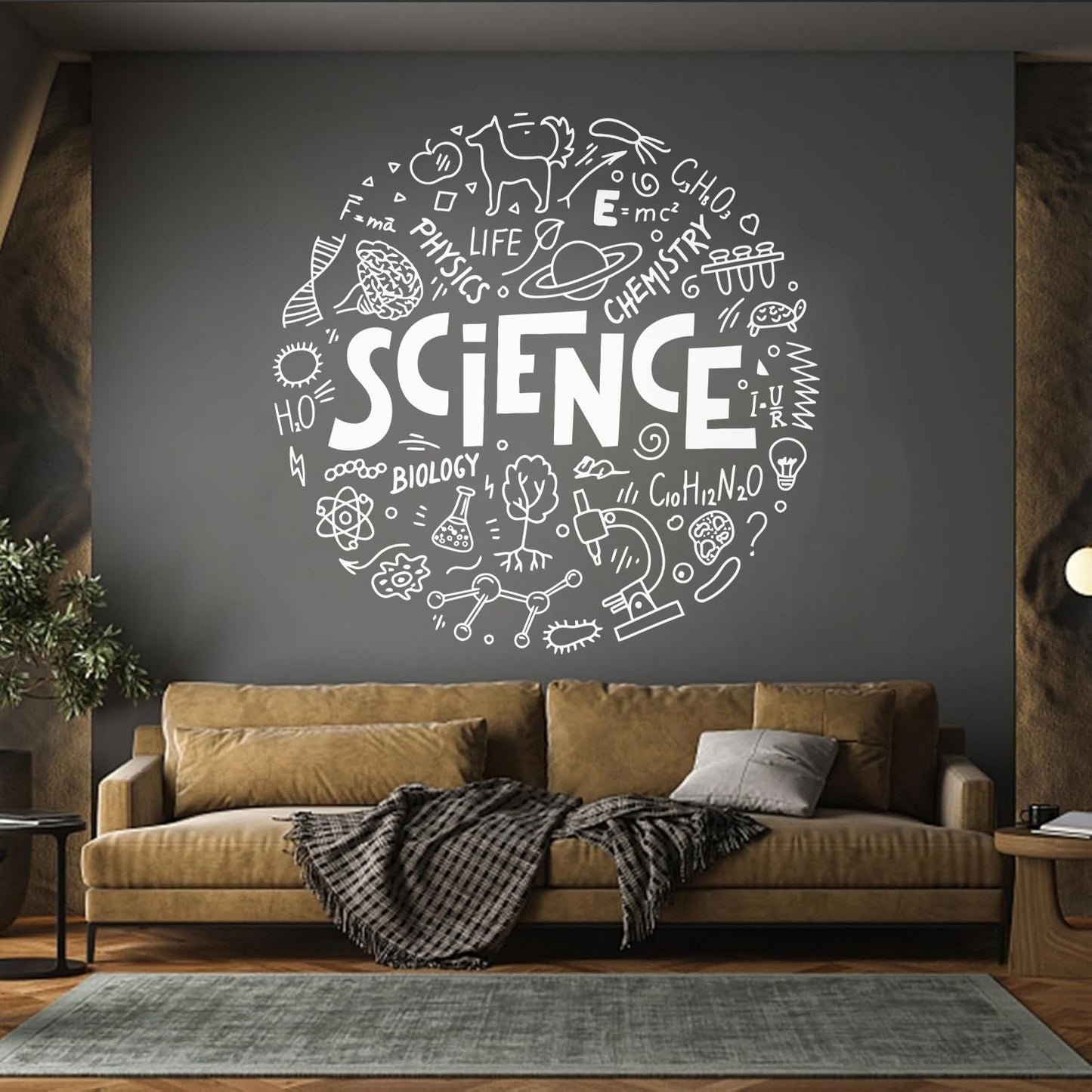 Mural And Wall Vinyl Decal Science Physics Biology Chemistry School Student Car Body Decoration