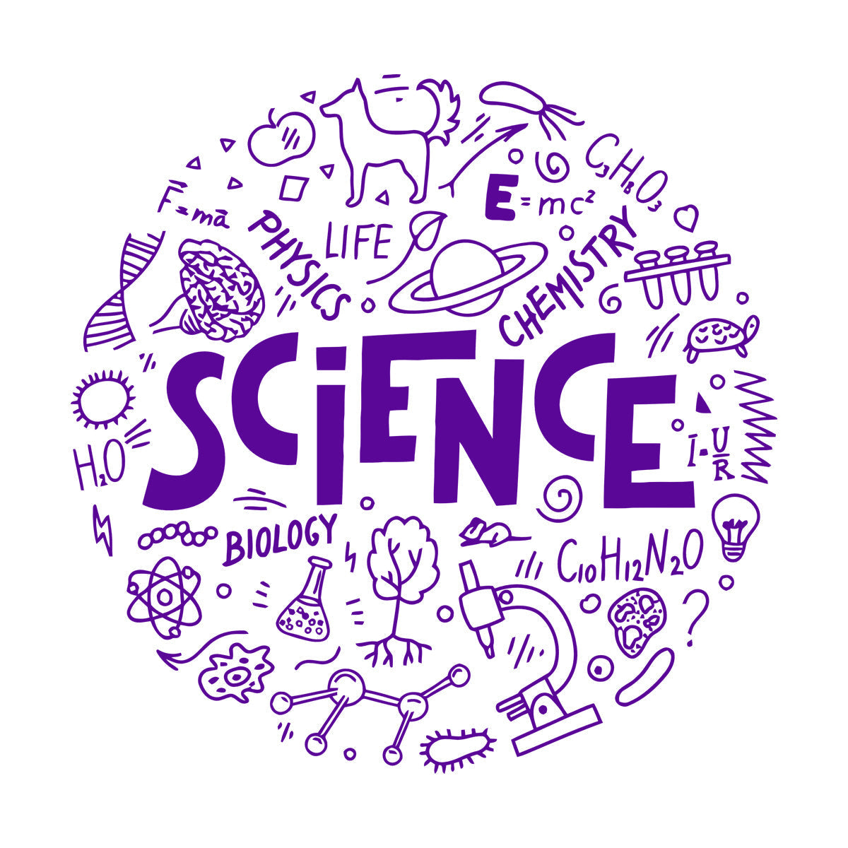 Mural And Wall Vinyl Decal Science Physics Biology Chemistry School Student Car Body Decoration