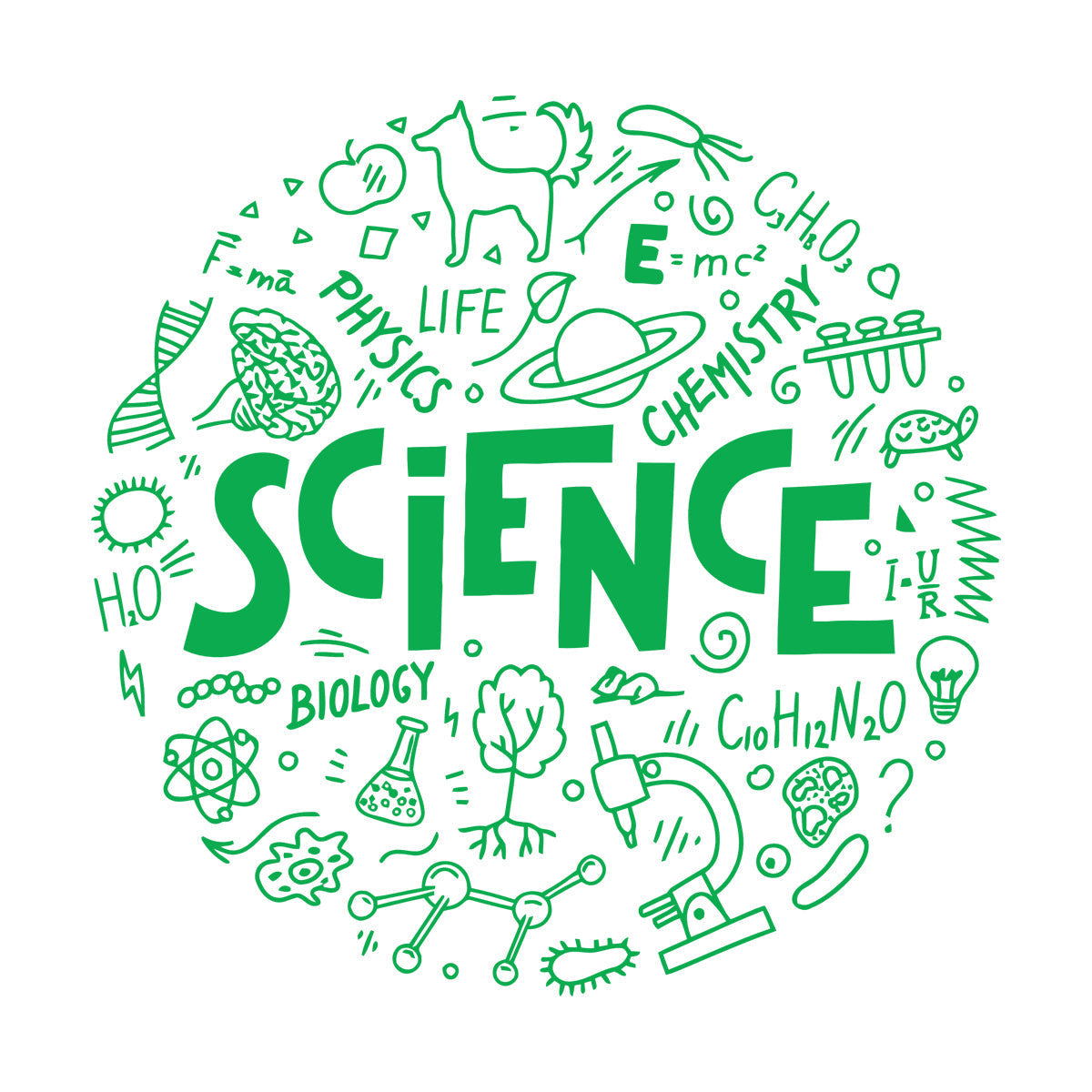 Mural And Wall Vinyl Decal Science Physics Biology Chemistry School Student Car Body Decoration