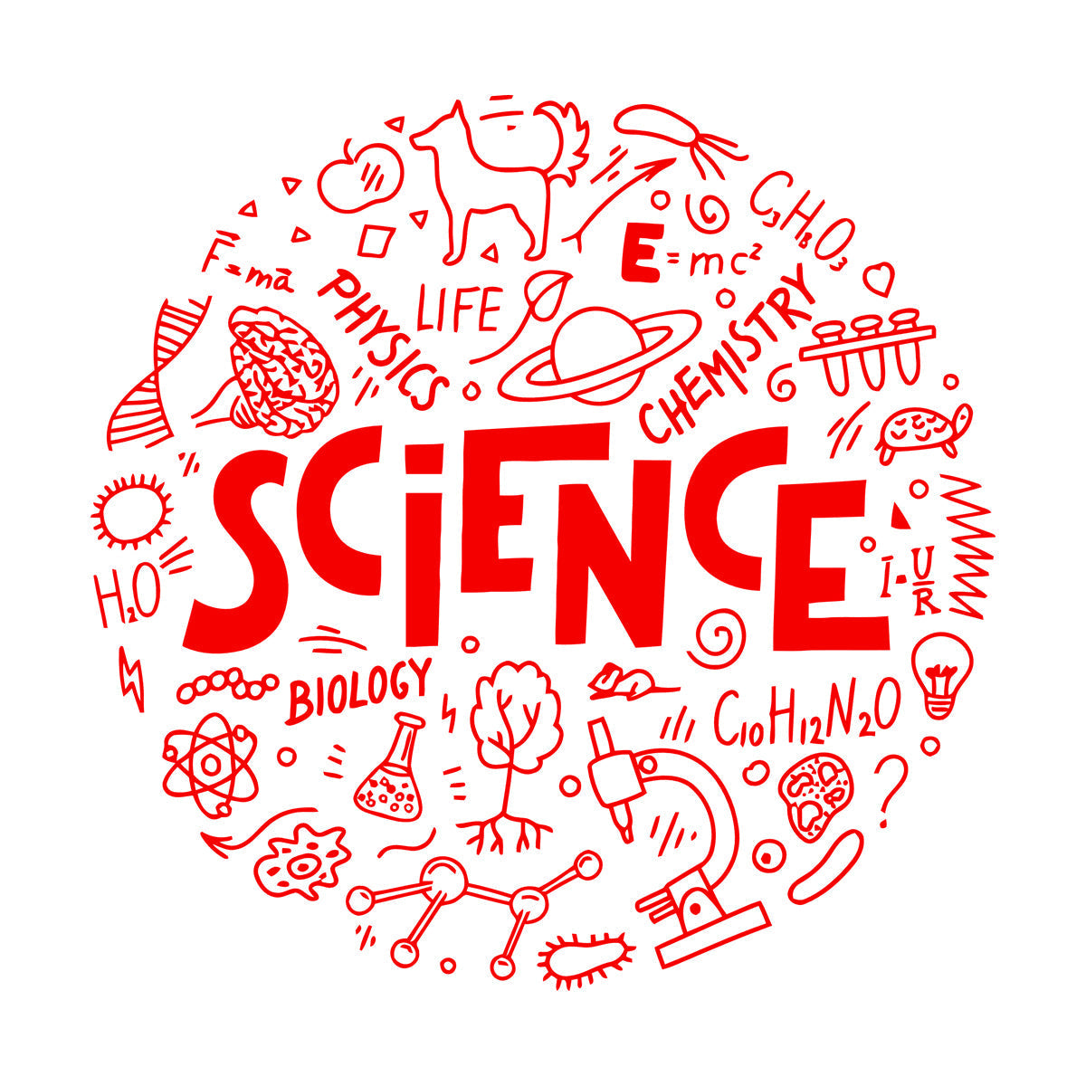 Mural And Wall Vinyl Decal Science Physics Biology Chemistry School Student Car Body Decoration