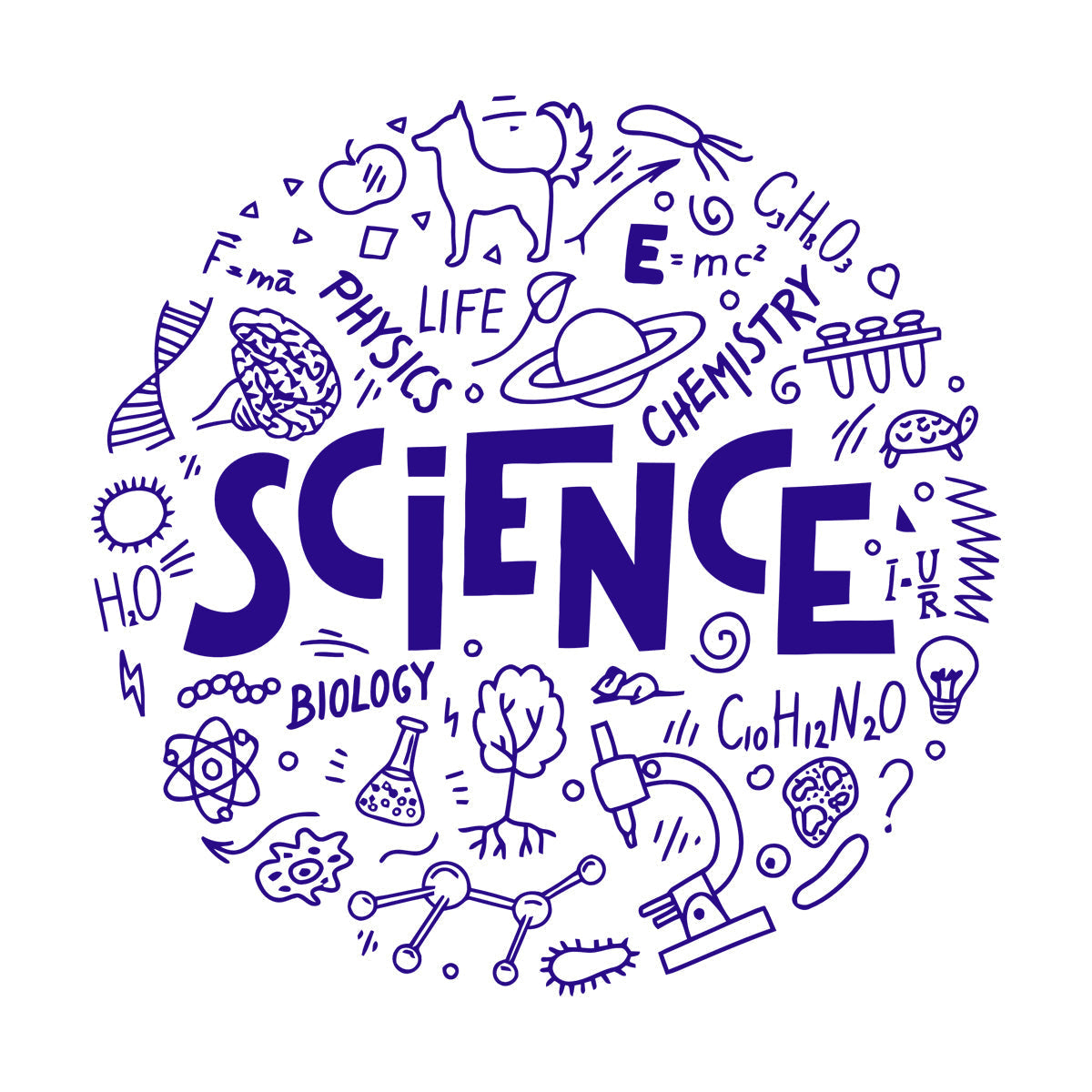 Mural And Wall Vinyl Decal Science Physics Biology Chemistry School Student Car Body Decoration