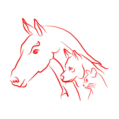 Mural And Wall Vinyl Decal Animal Horse Dog Cat House Pets Farm Kids Nursery Removable Without Leaving Glue