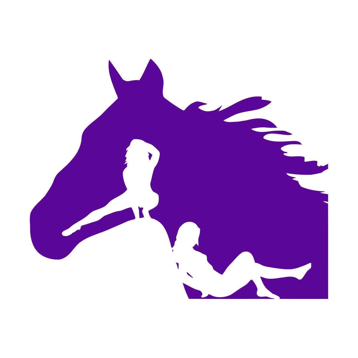 Lettering Decals Horse Head Silhouette Appeal Girls Multi Color Selection