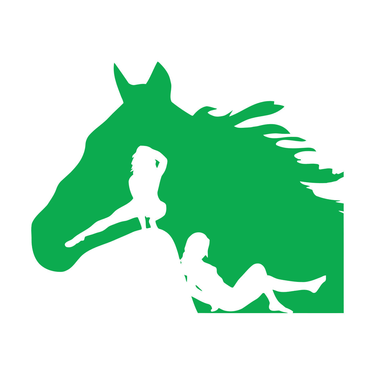 Lettering Decals Horse Head Silhouette Appeal Girls Multi Color Selection