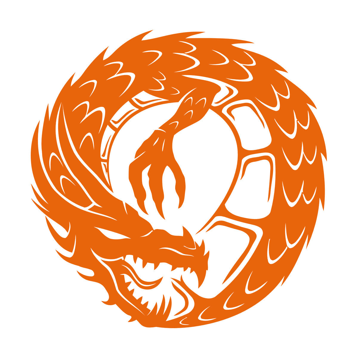 Wall Decals Pvc Dragon Infinity Fantasy Mythical Creature Kids Multi Color Selection