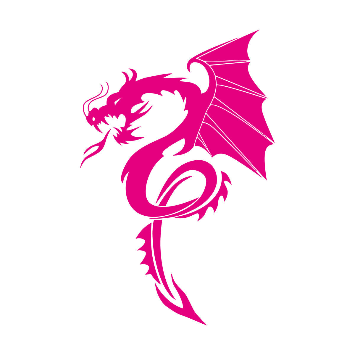 Vinyl Wall Decals Evil Fire Dragon Fantasy Magical Animal Easy Installation