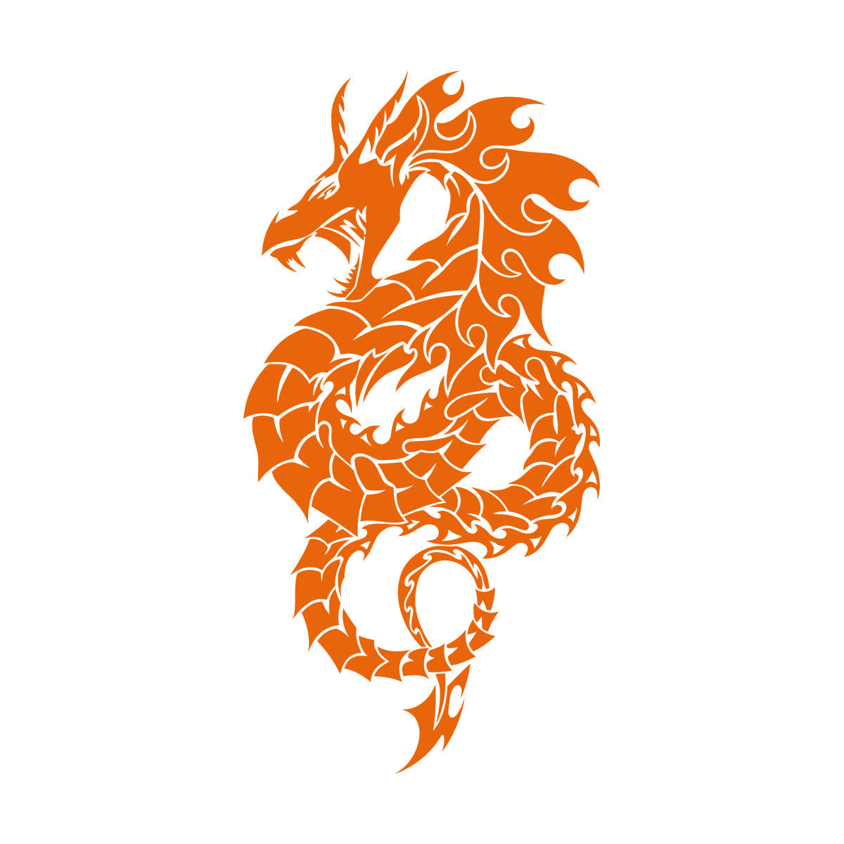 Wall Stickers Paster Paper Mythology Fantasy Monster Dragon Boy Room Window Decals