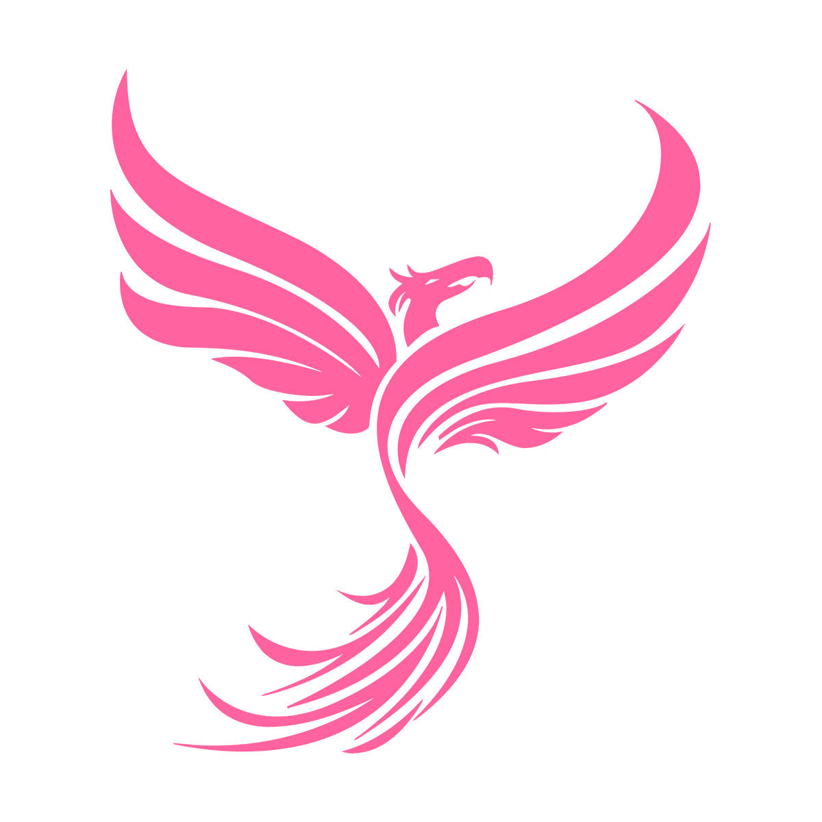 Vinyl Wall Stickers Phoenix Fantastic Beast Fantasy Bird Multiple Size Options