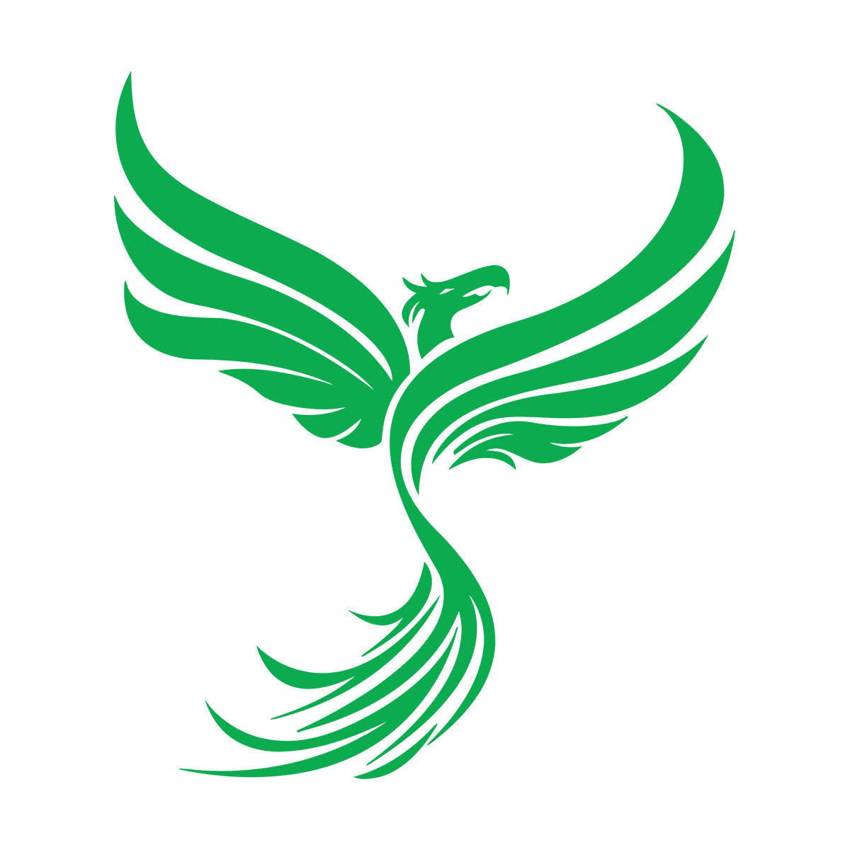 Vinyl Wall Stickers Phoenix Fantastic Beast Fantasy Bird Multiple Size Options