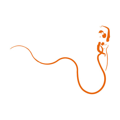 Abstract Retro Woman Beautiful Lady Ball Dress Vinyl Wall Stickers Easy Installation