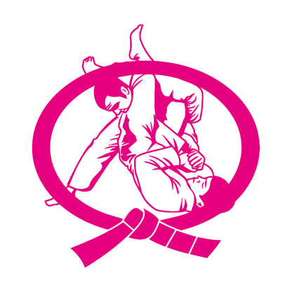 Karate Belt Boys Martial Arts Fighter Fight Wall Decals Multi Color Selection