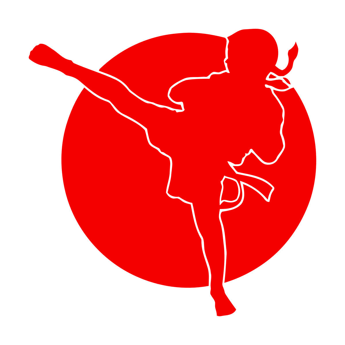 Engraving Decals Karate Boy Kick Martial Arts Logo Fighter Easy Installation