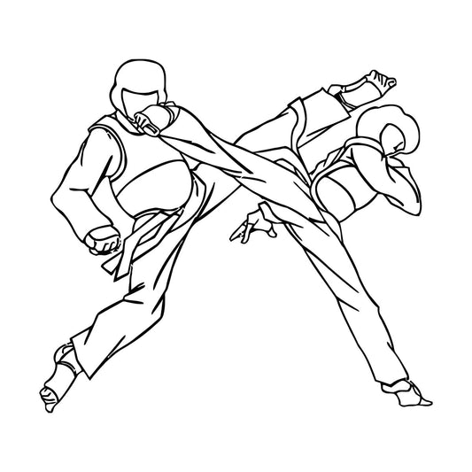 Vinyl Art Sticker Fighting Martial Arts Karate Sports Strike The Foot Easy Installation