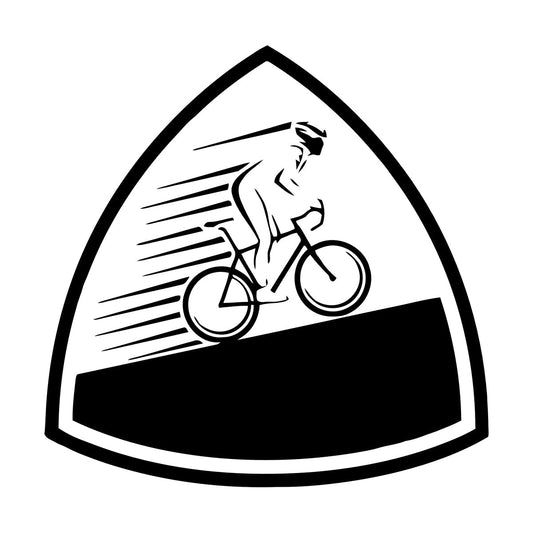 Vinyl Wall Decals Sports Cycling Bike Speed Race Store Decoration